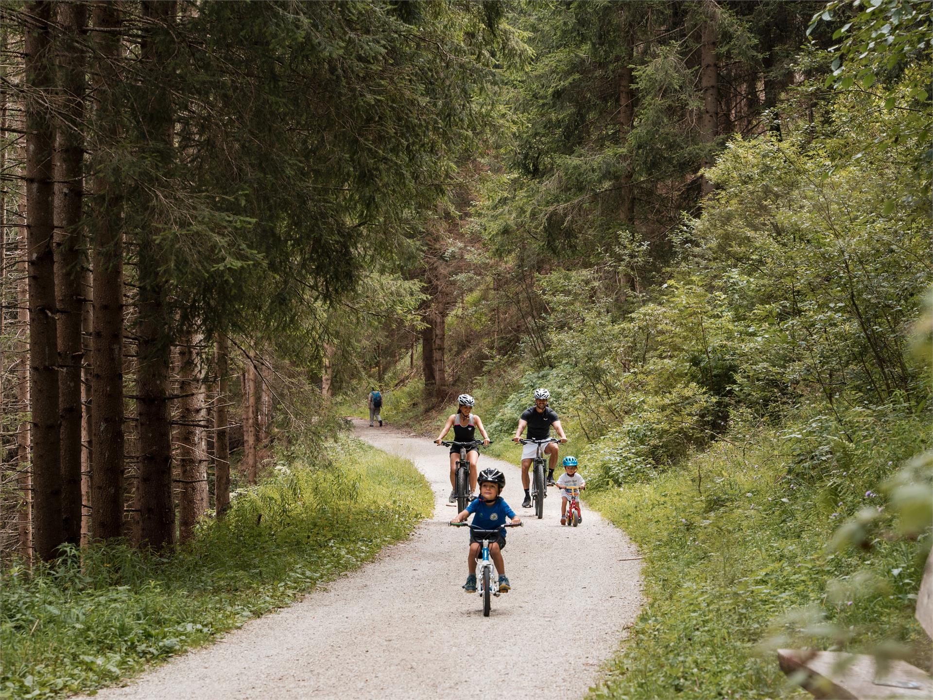 Pista ciclabile da Rio di Pusteria a Valles Rio di Pusteria 1 suedtirol.info