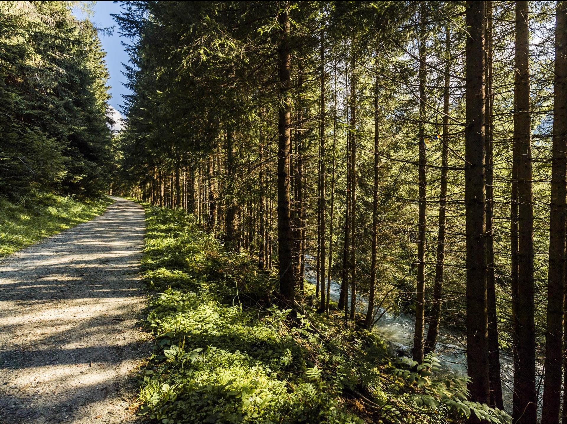 Pista ciclabile da Rio di Pusteria a Valles Rio di Pusteria 3 suedtirol.info