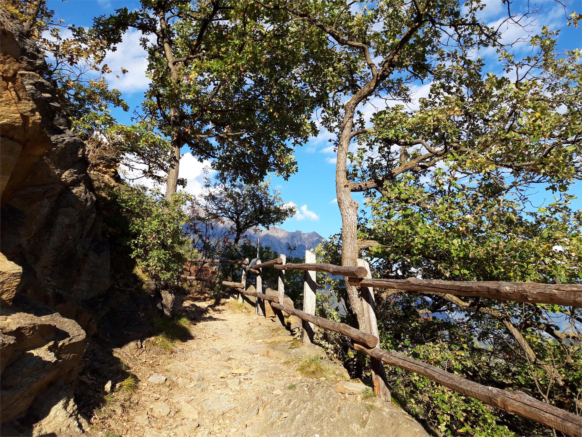 From the irrigation channel path of Rablà to the Sonnenberg Mountain Panoramic Trail to Naturnol Naturns/Naturno 2 suedtirol.info