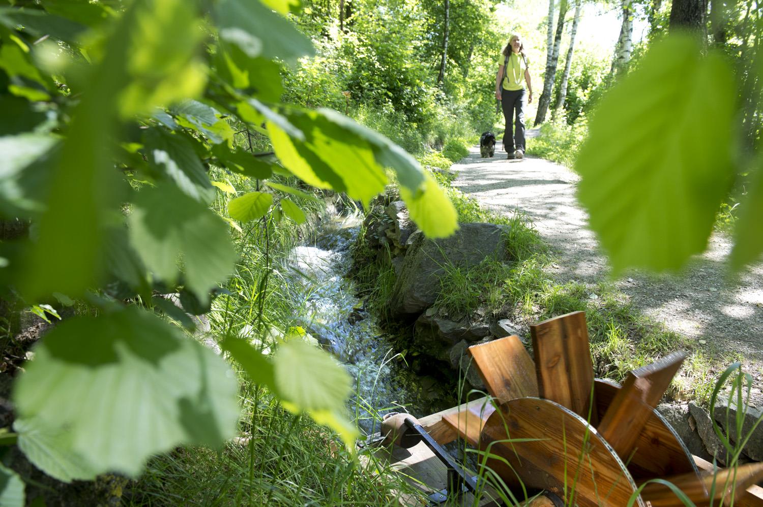 From the irrigation channel path of Rablà to the Sonnenberg Mountain Panoramic Trail to Naturnol Naturns/Naturno 1 suedtirol.info