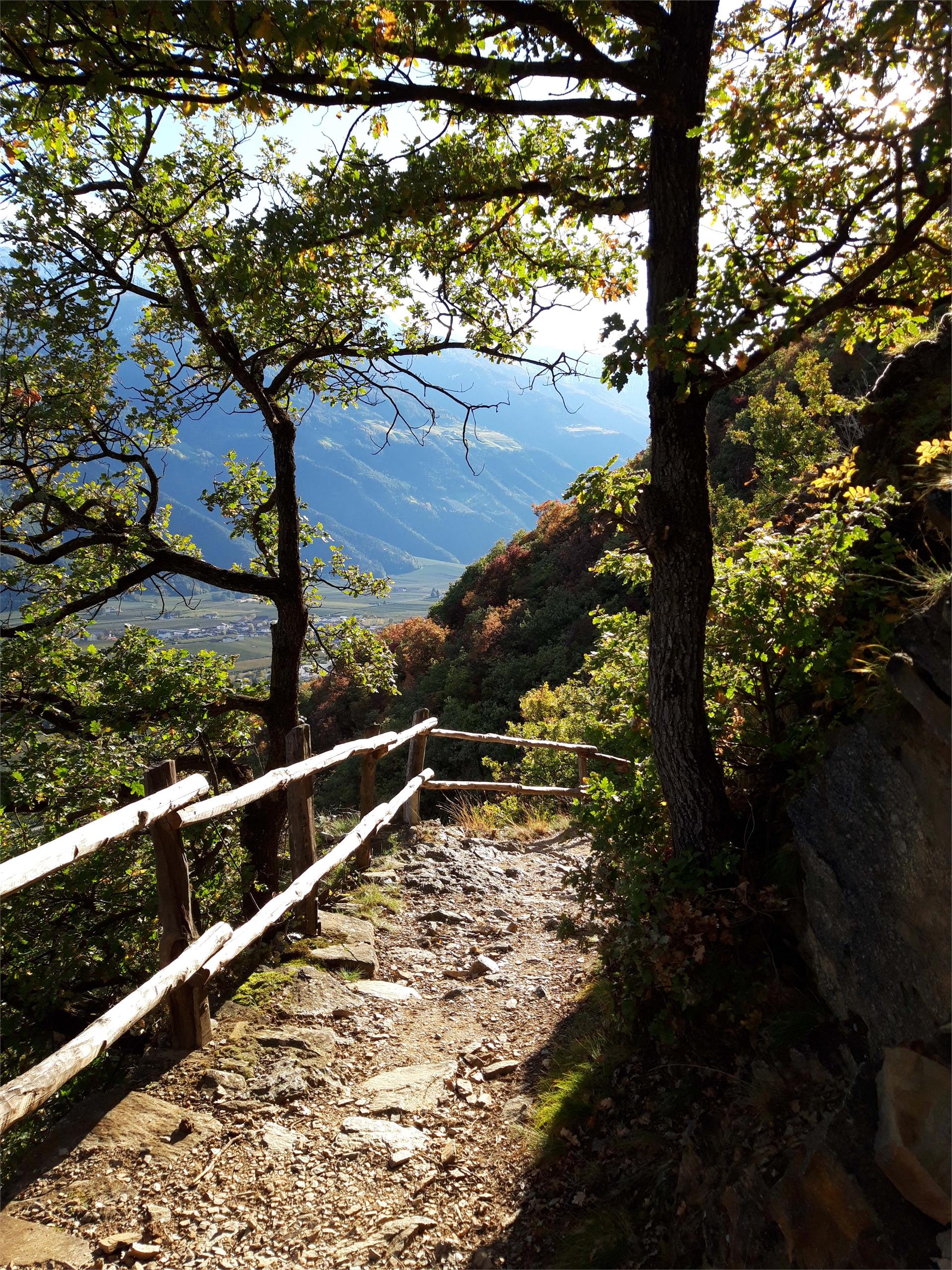 From the irrigation channel path of Rablà to the Sonnenberg Mountain Panoramic Trail to Naturnol Naturns/Naturno 4 suedtirol.info