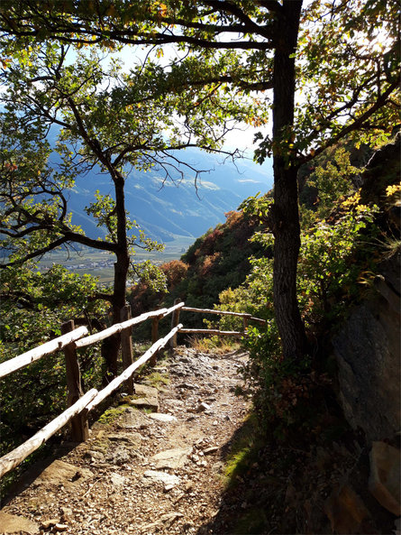 Dal sentiero della roggia di Rablà lungo il sentiero panoramico Monte Sole Naturno 4 suedtirol.info