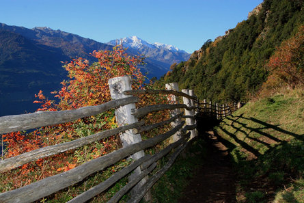 From the irrigation channel path of Rablà to the Sonnenberg Mountain Panoramic Trail to Naturnol Naturns/Naturno 3 suedtirol.info