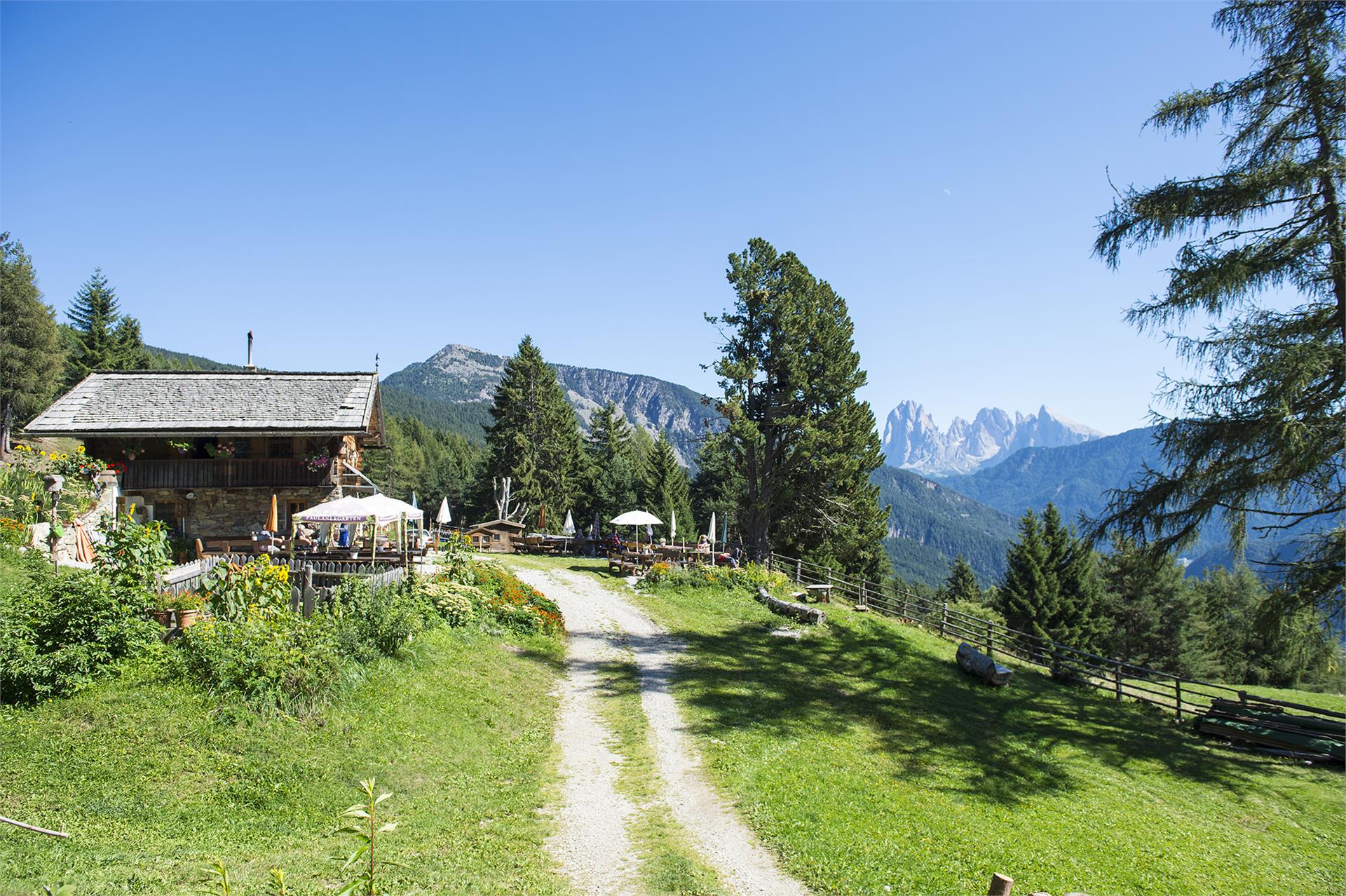 Da Laion alle Malghe Unterpulg e  Ramitzl Laion 2 suedtirol.info