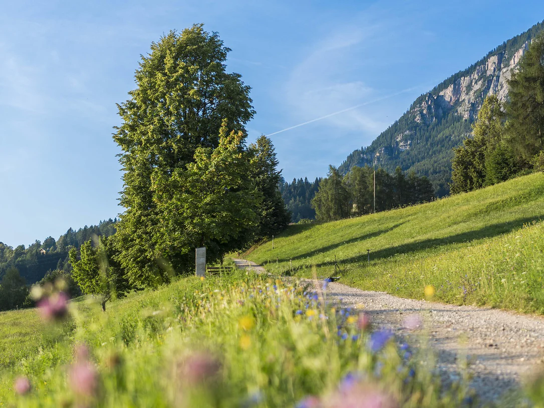 From Sirmiano di Sopra to Grissiano