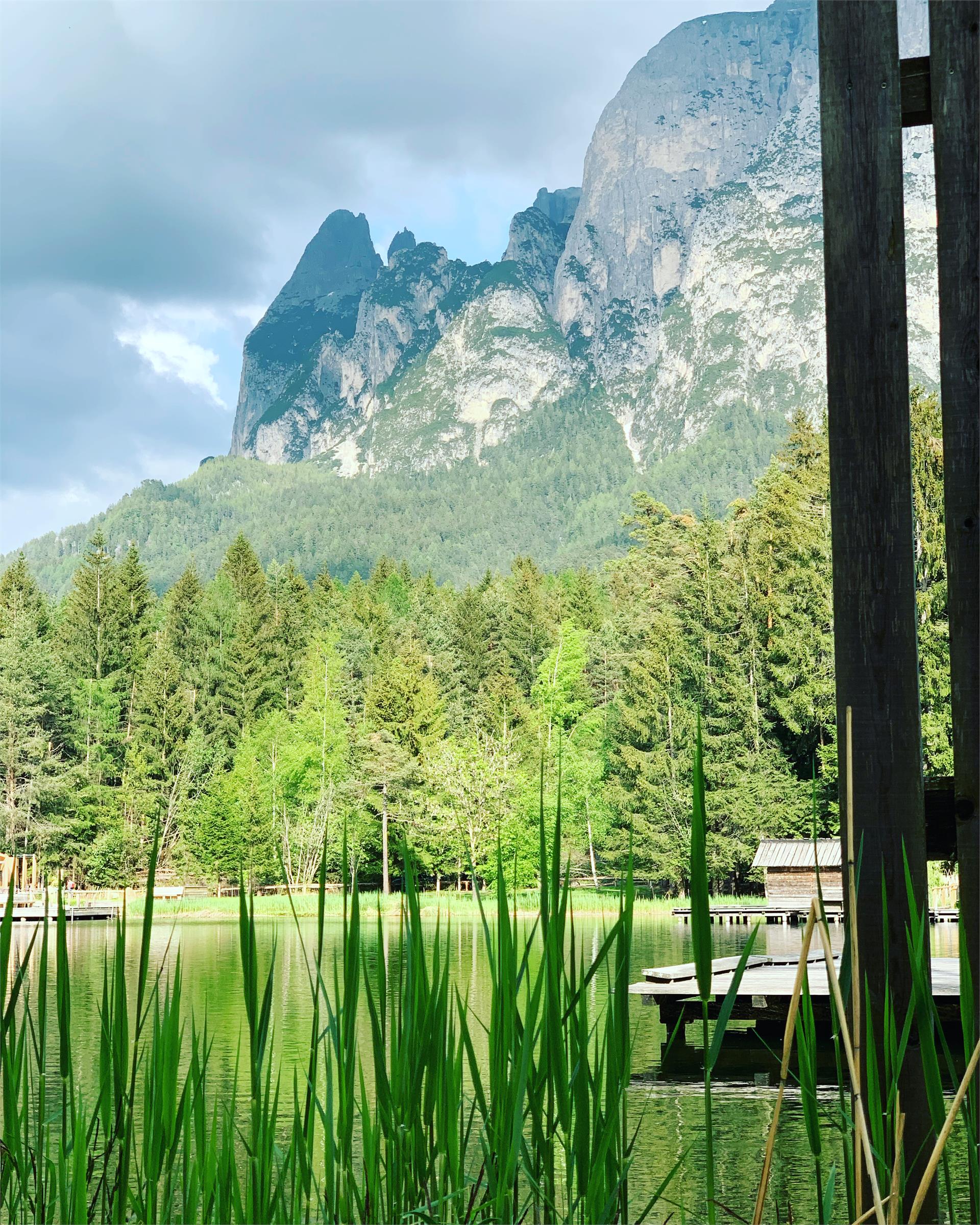 Von Völs zum Völser Weiher bis Seis Völs am Schlern 1 suedtirol.info