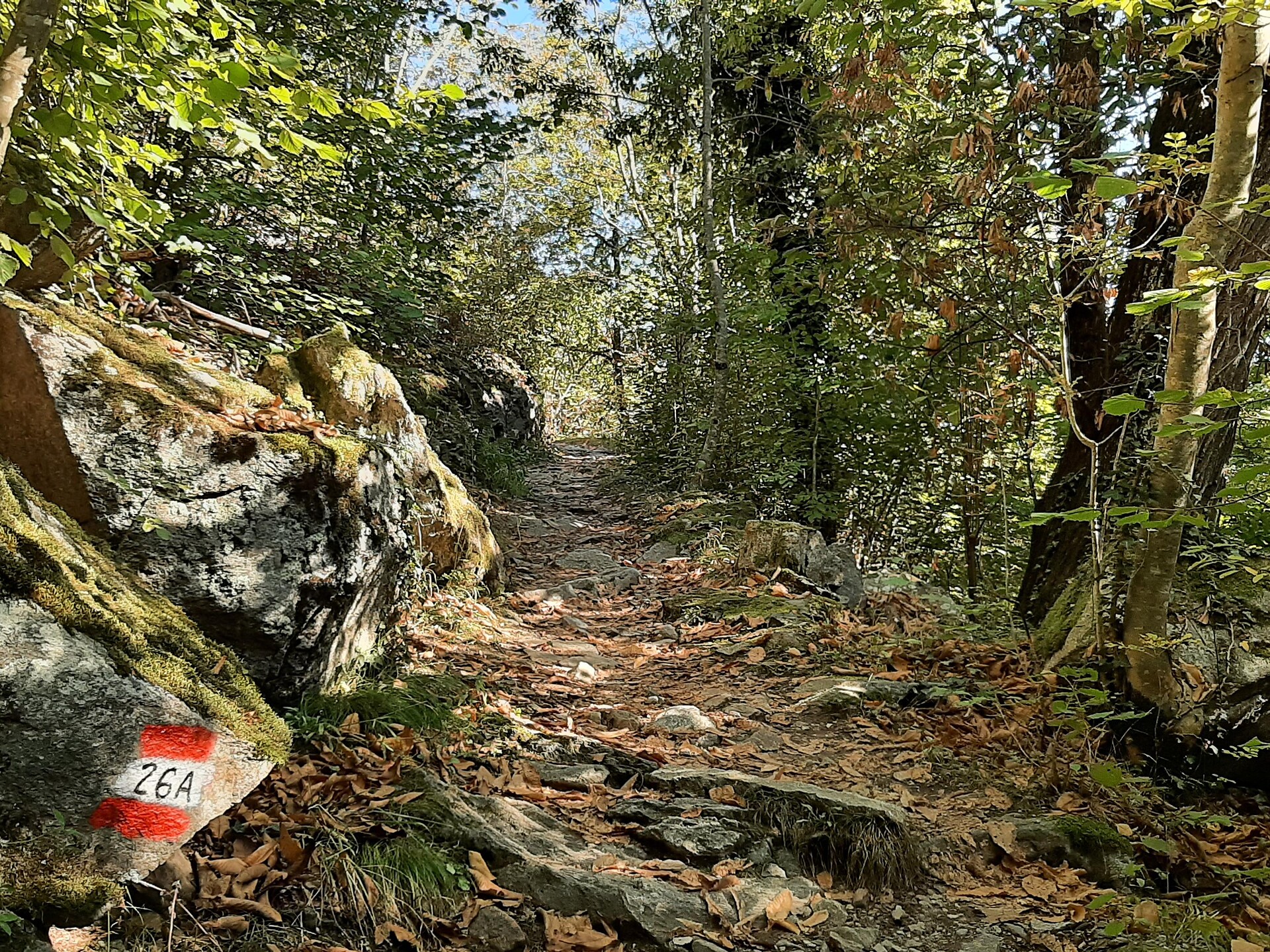 Saxnerweg