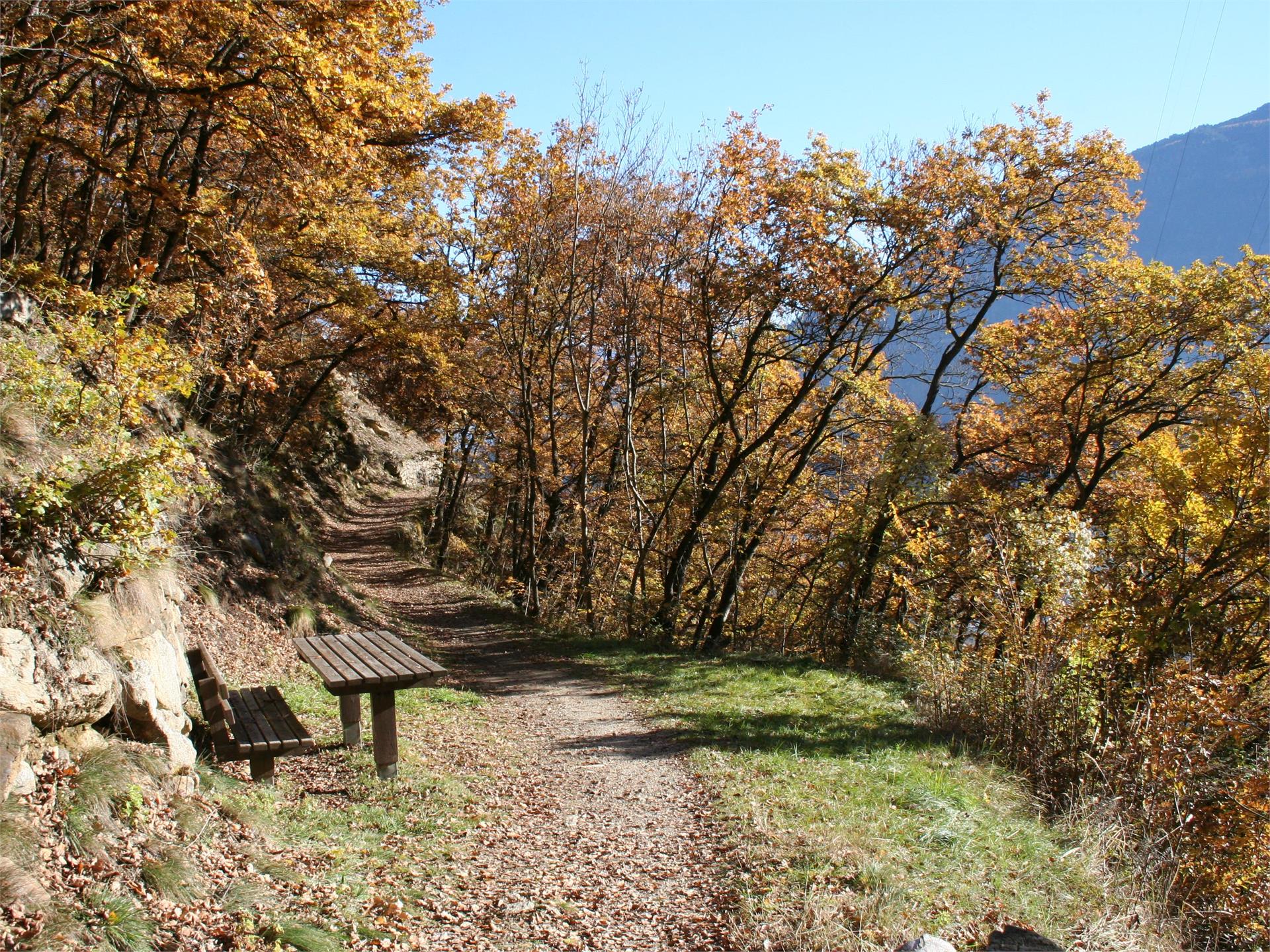 Von Partschins auf den Sonnenberger Panoramaweg nach Naturns Partschins 4 suedtirol.info