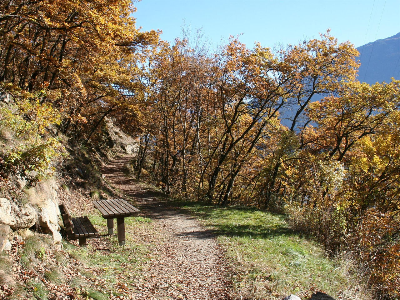 Slide 4
