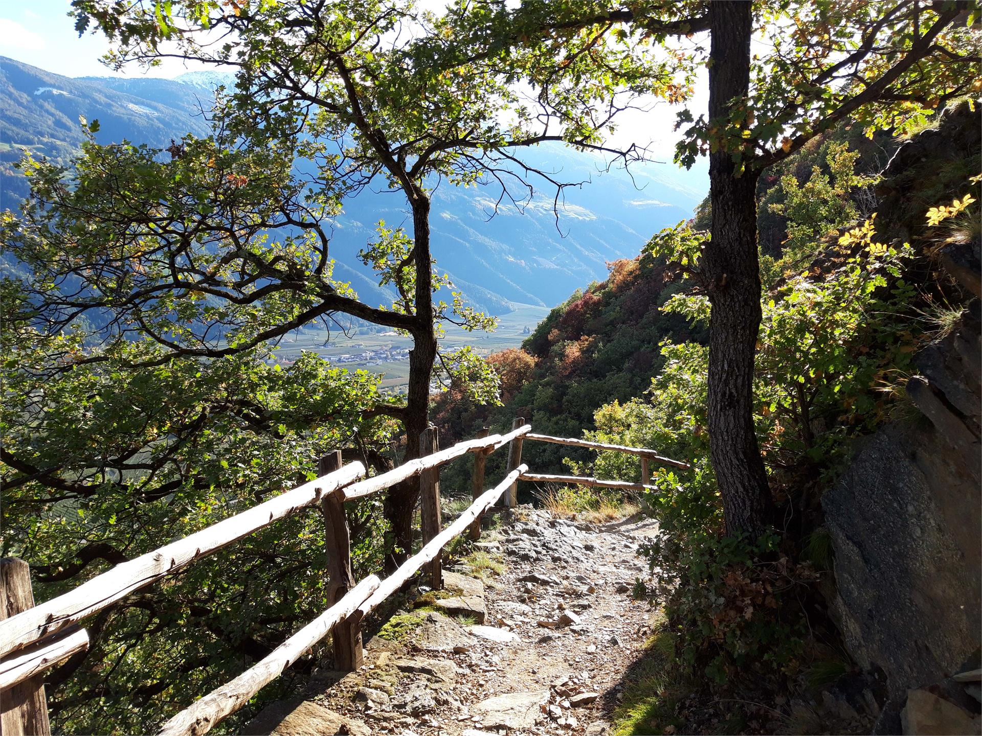 Von Partschins auf den Sonnenberger Panoramaweg nach Naturns Partschins 3 suedtirol.info