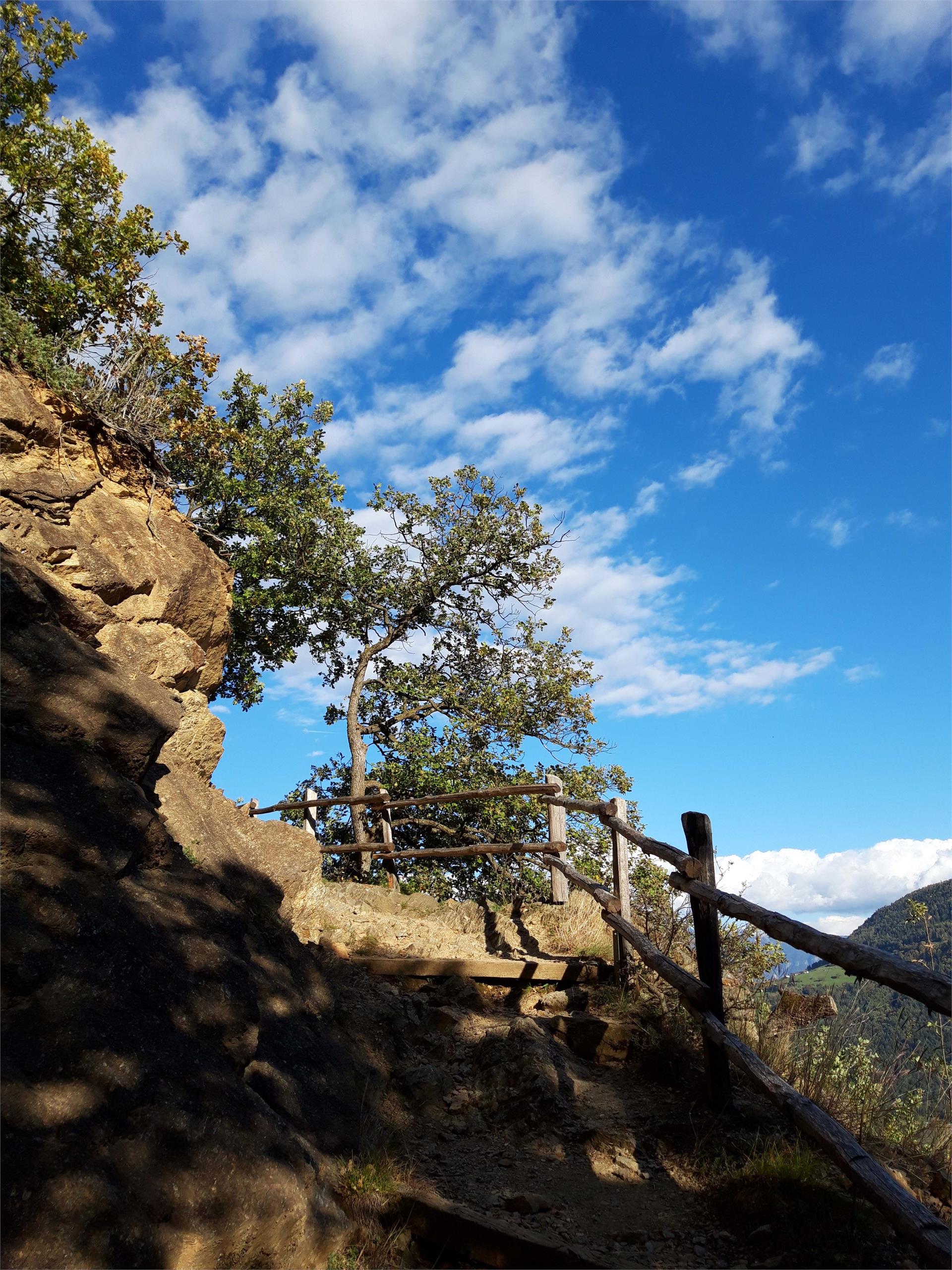 Von Partschins auf den Sonnenberger Panoramaweg nach Naturns Partschins 6 suedtirol.info