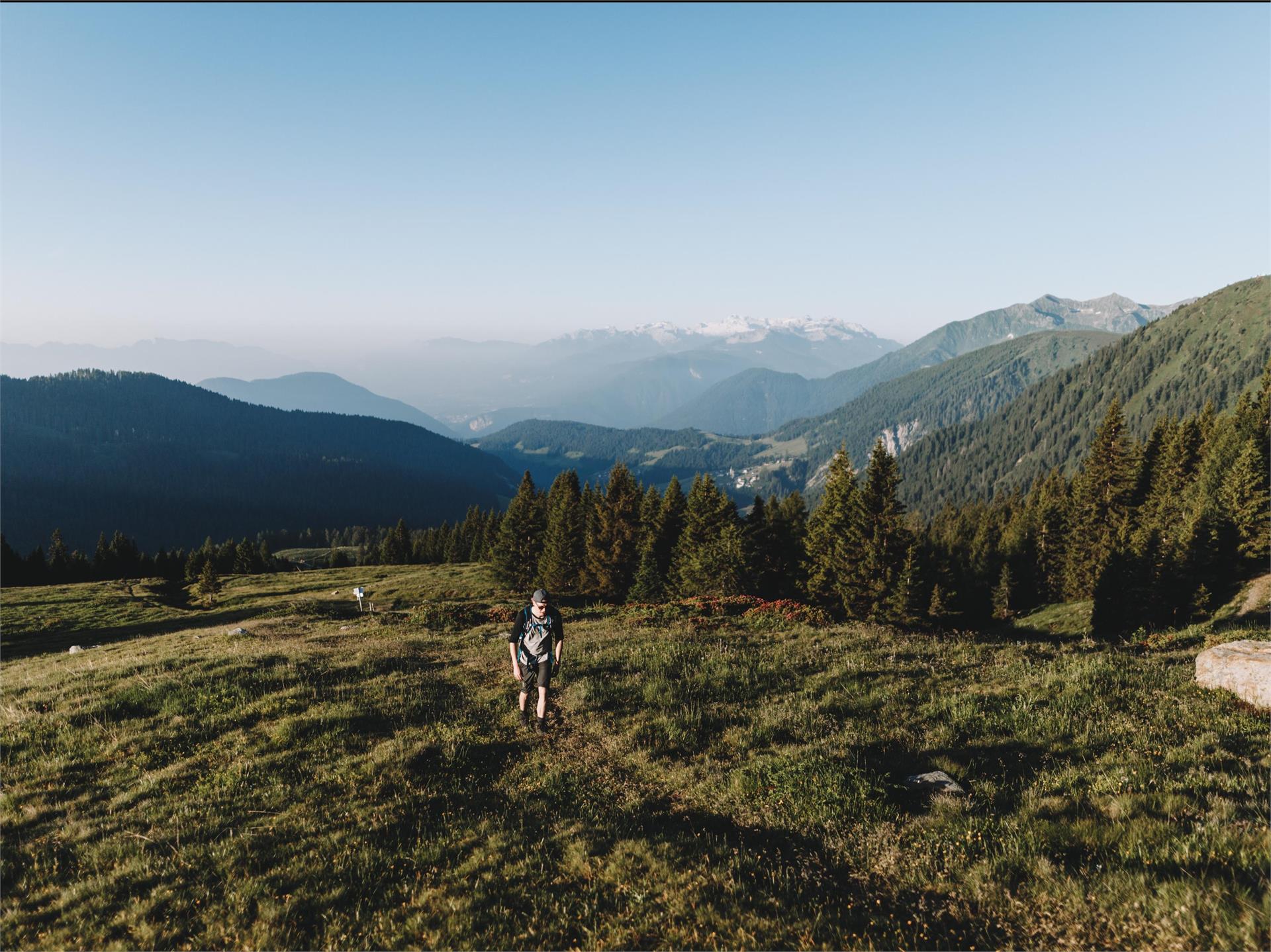 Foiana - Bagni di Foiana - Plazzoles - Monte Luco Senale-S.Felice 2 suedtirol.info