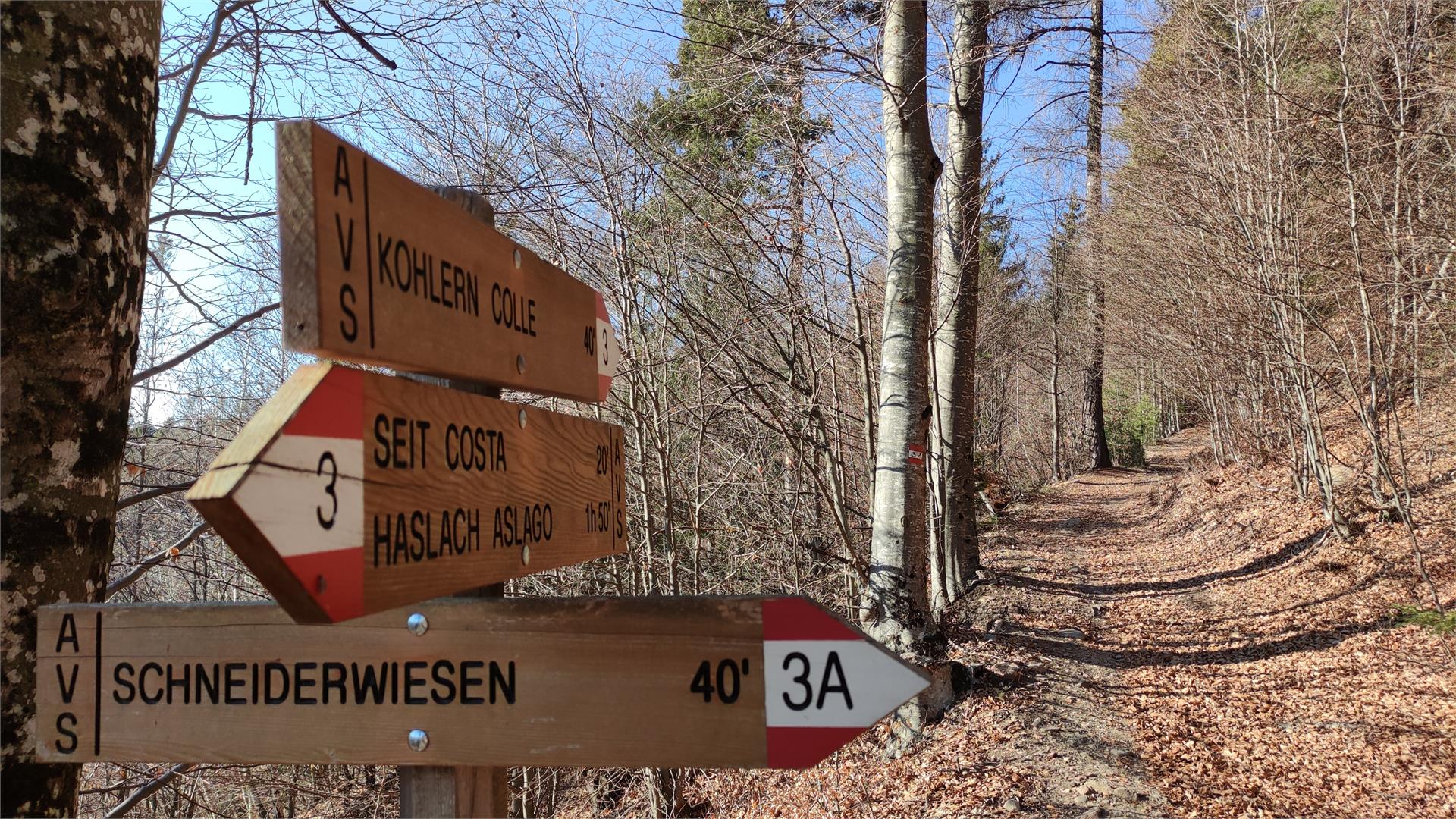 Escursione da La Costa al Colle Bolzano 2 suedtirol.info