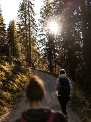 Von der Frommer Alm zum Karer See - Welschnofen - #3 - suedtirol.info