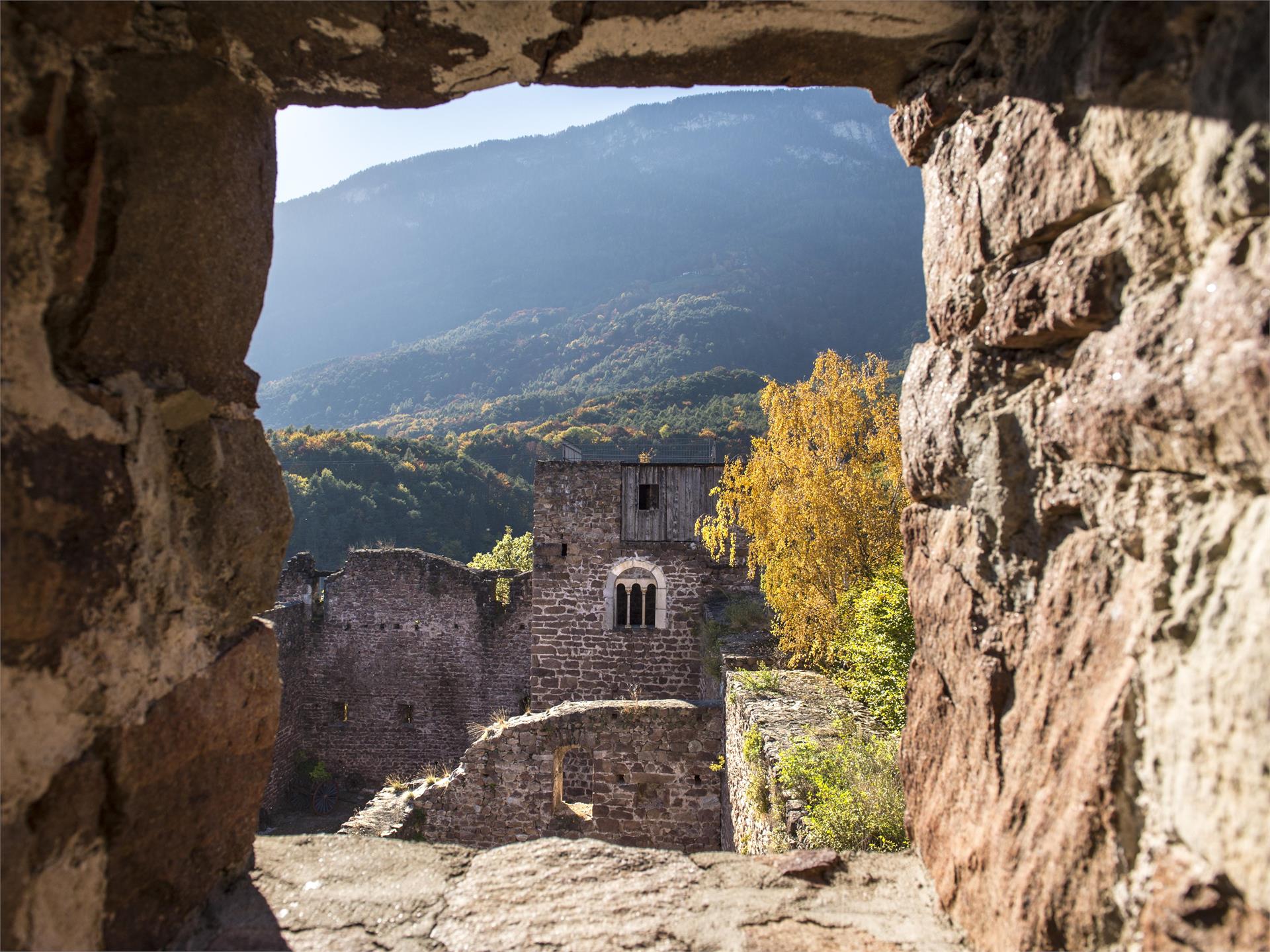 “Castle triangle” walk Appiano/Eppan Eppan an der Weinstaße/Appiano sulla Strada del Vino 5 suedtirol.info