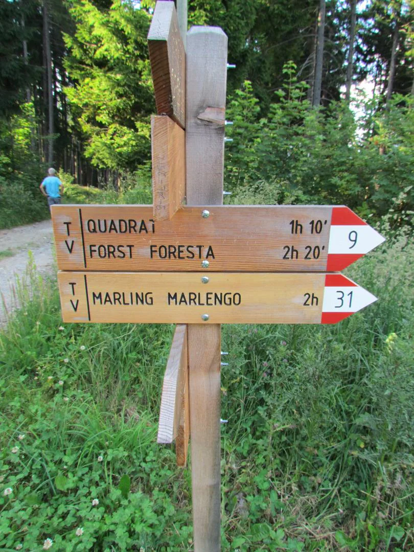 From Aschbach to the circular hiking trail Martinsweg Algund/Lagundo 4 suedtirol.info