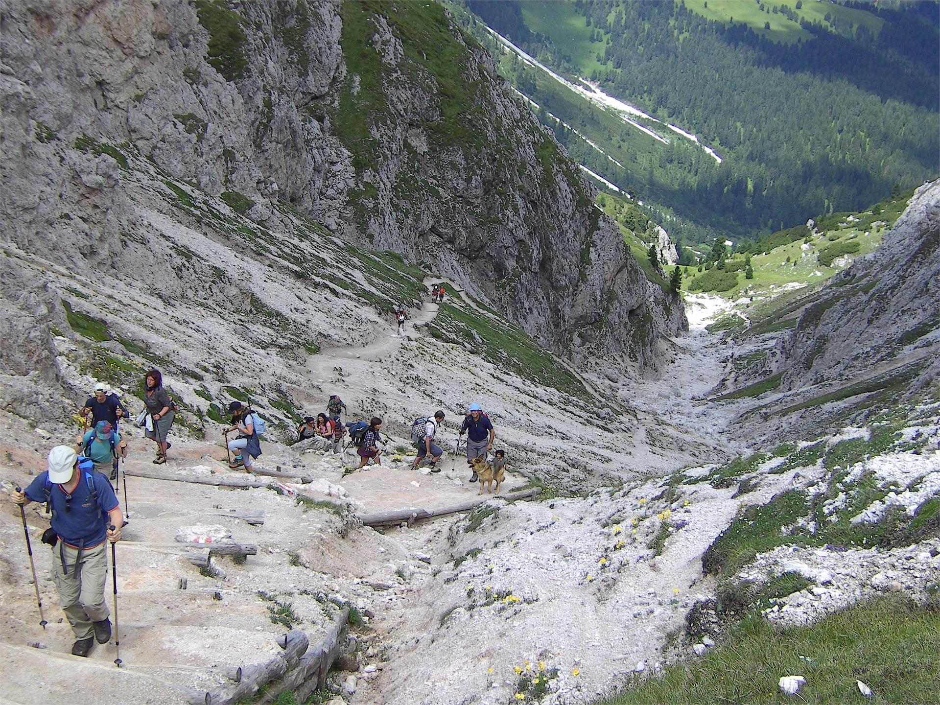 Dal Passo delle Erbe al Sas de Putia San Martino 2 suedtirol.info