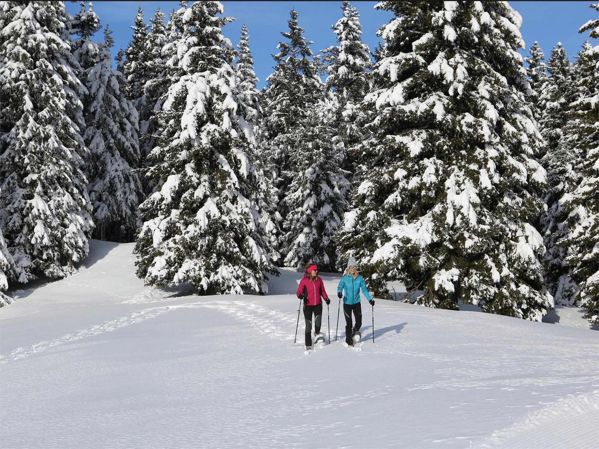 Circular hike on the Vigiljoch Mountain Lana 4 suedtirol.info