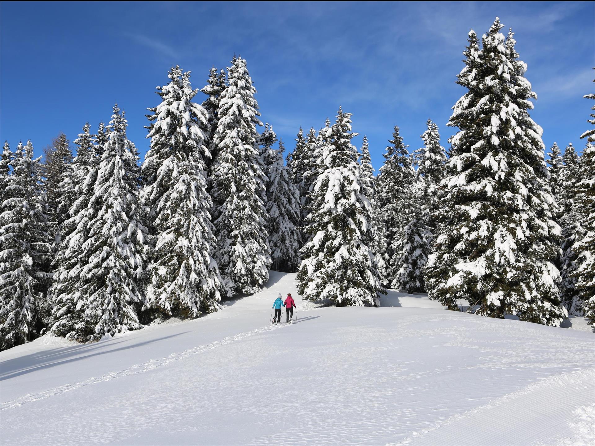 Monte San Vigilio - malga Bagno dell'Orso - malga di Naturno Lana 4 suedtirol.info