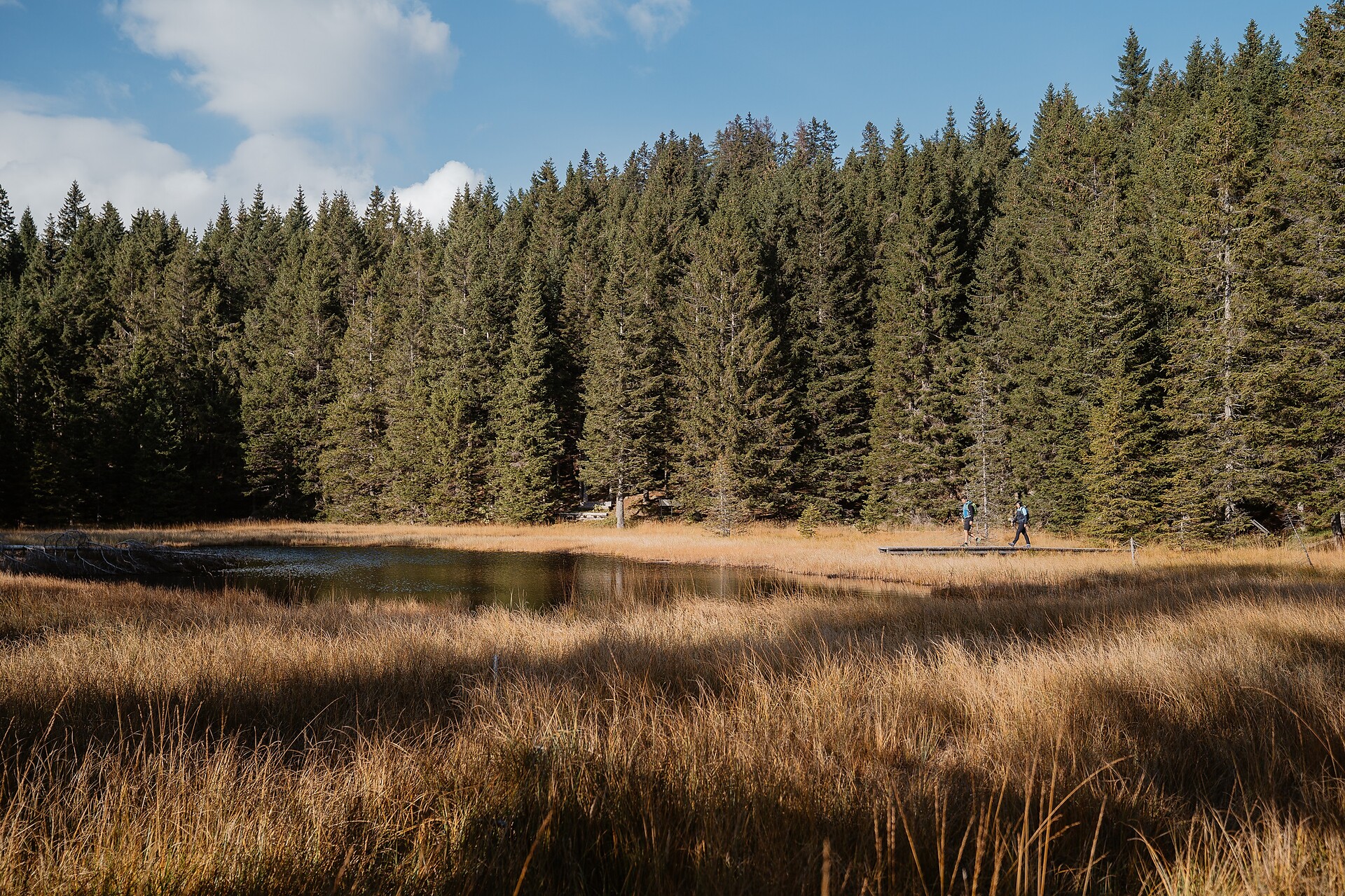 Parco naturale Monte Corno