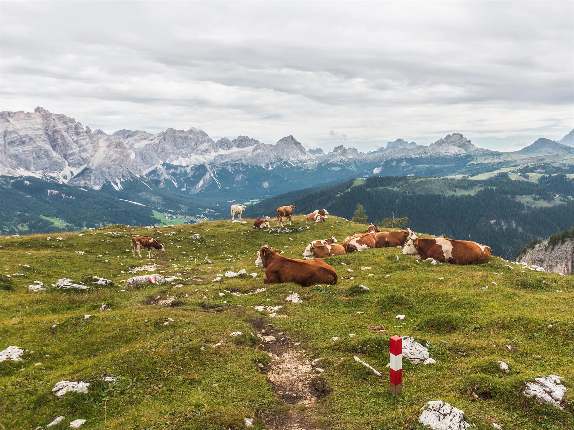 From La Villa to the Puez Nature Park – UNESCO World Heritage Badia 4 suedtirol.info