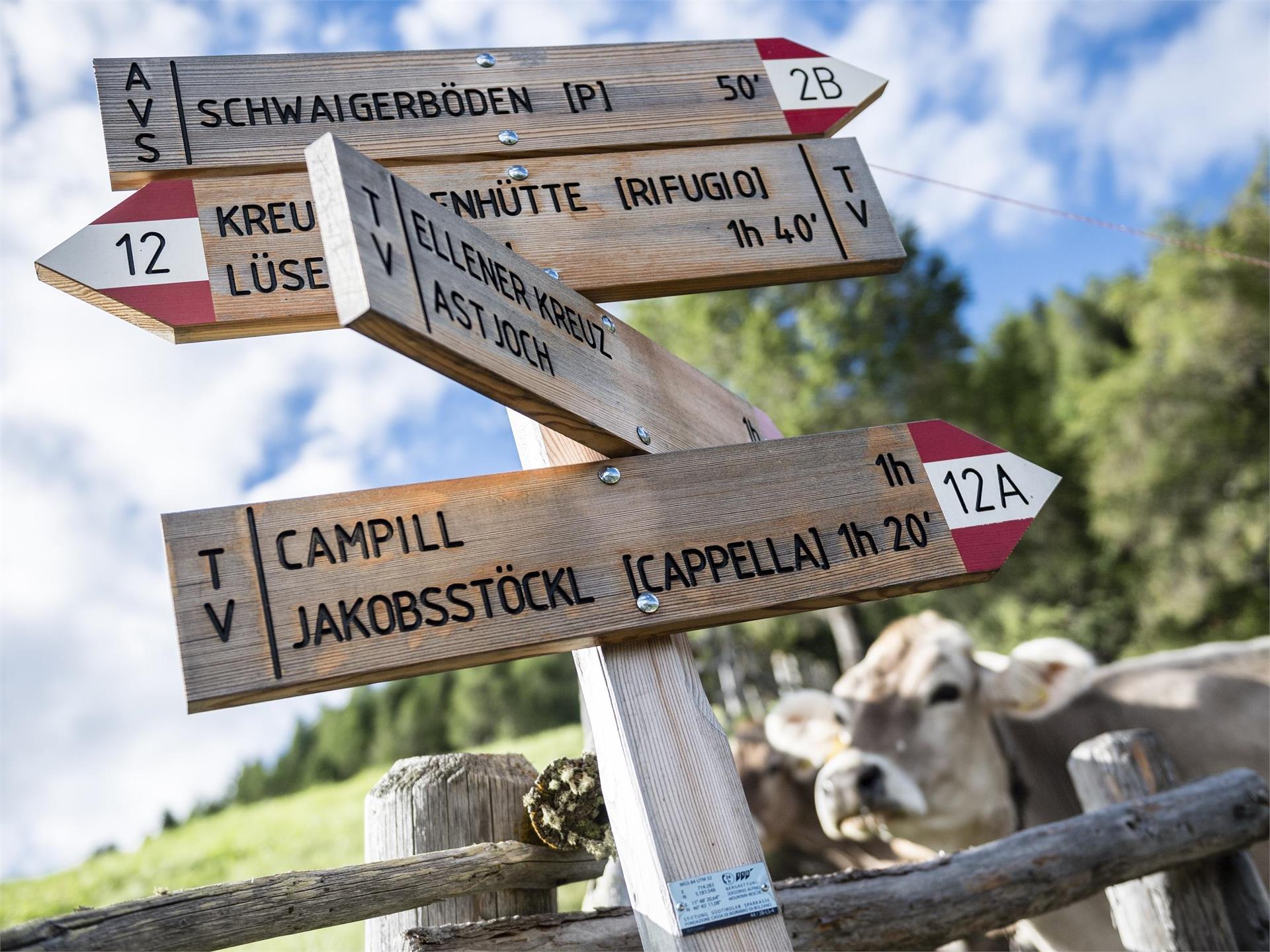 From the schwaiger Böden in Lüsen to the Jakobsstöckl and Kreuzwisenalm Mountain Hut Lüsen/Luson 2 suedtirol.info