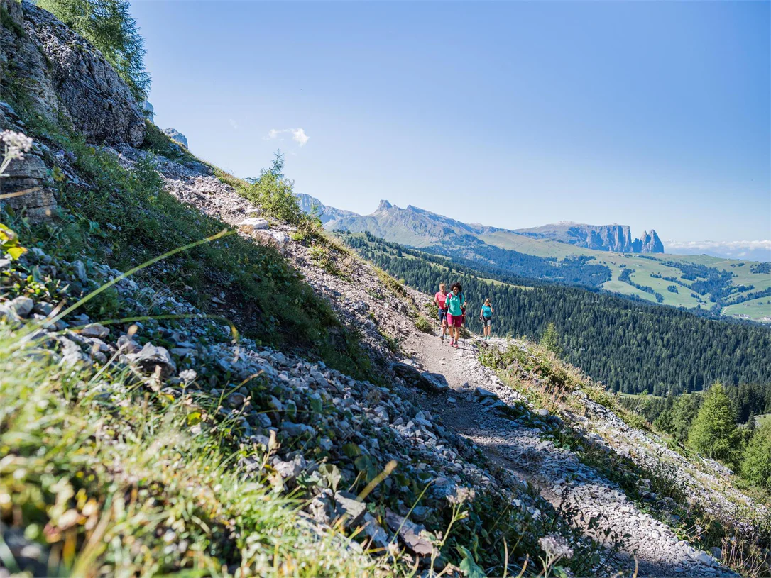 From Monte Pana via Mont Sëura to Passo Sella