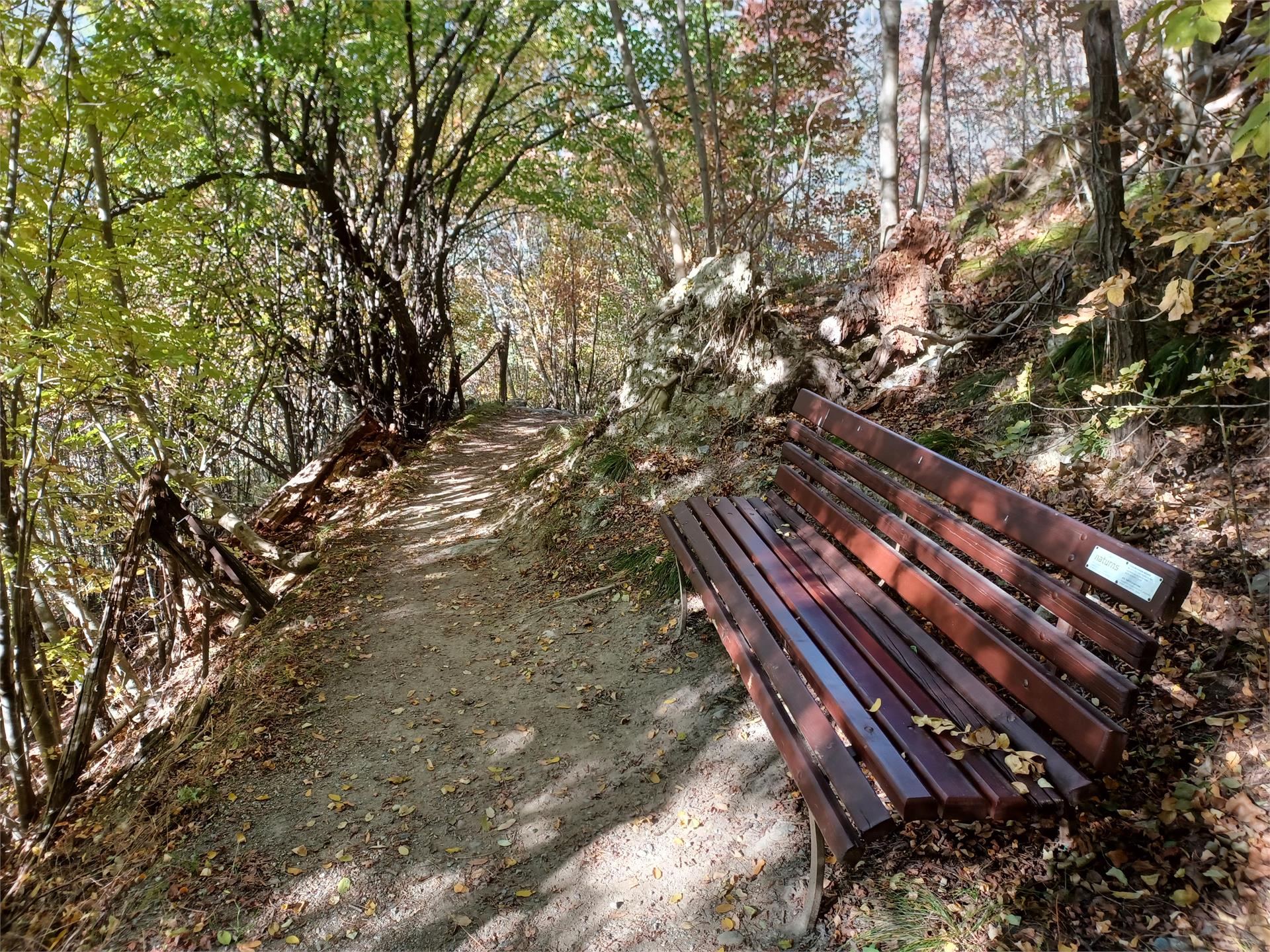 Von Rabland über den geheimen Rittersteig nach Naturns Partschins 5 suedtirol.info