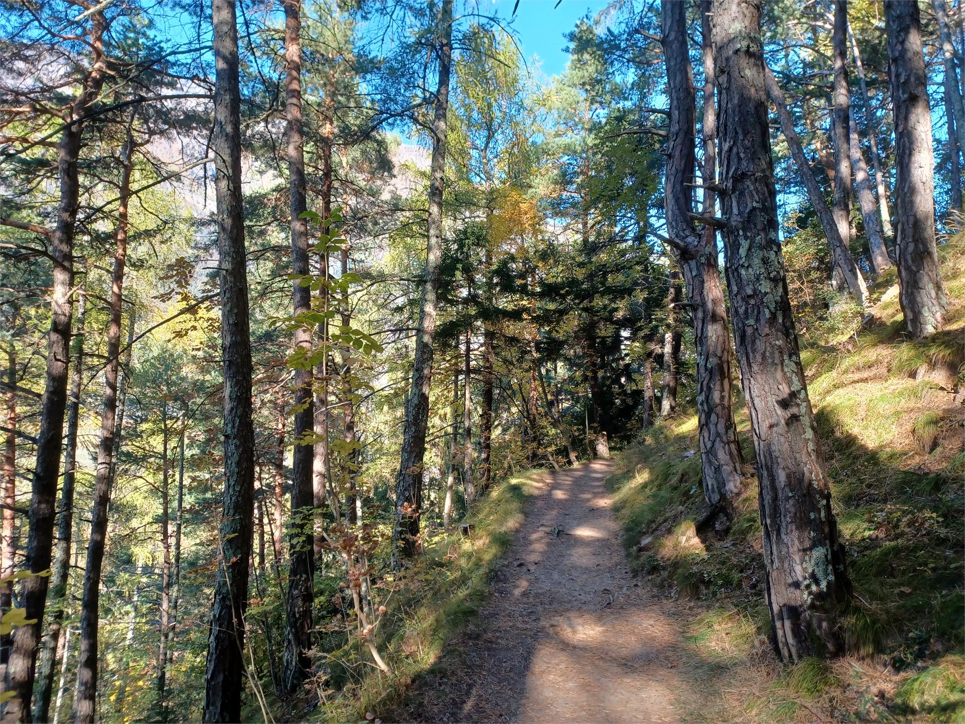 Von Rabland über den geheimen Rittersteig nach Naturns Partschins 4 suedtirol.info