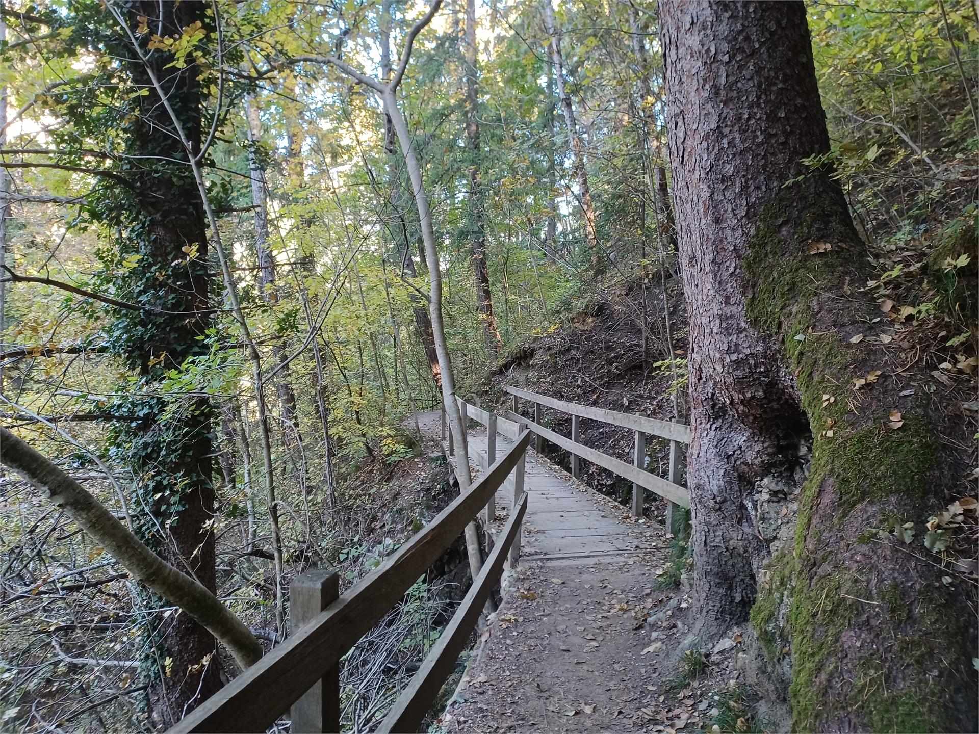 Von Rabland über den geheimen Rittersteig nach Naturns Partschins 2 suedtirol.info