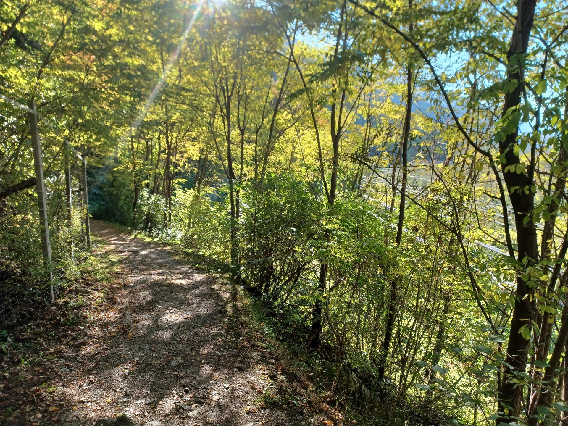 Von Rabland über den geheimen Rittersteig nach Naturns Partschins 7 suedtirol.info