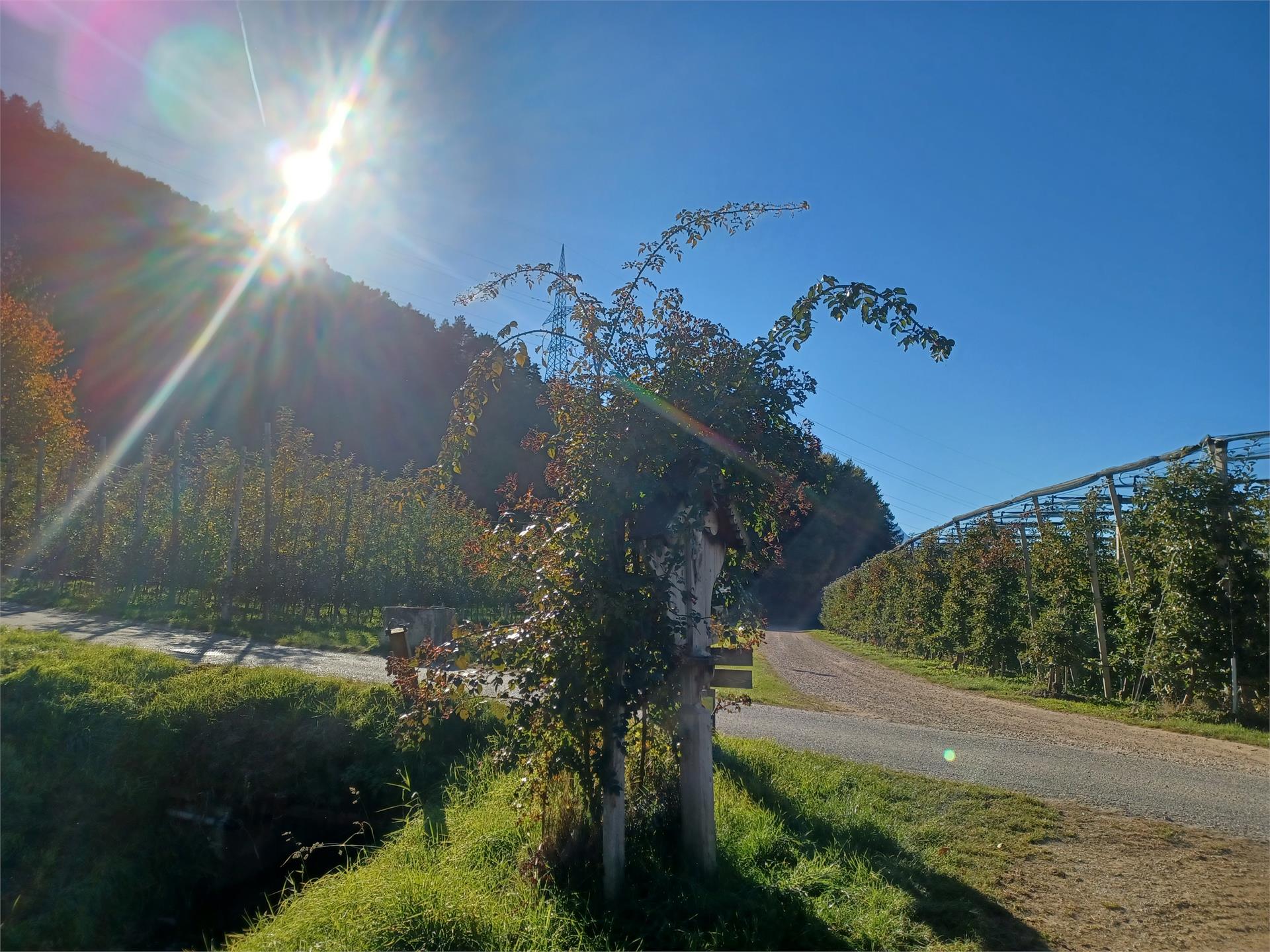 Von Rabland über den geheimen Rittersteig nach Naturns Partschins 6 suedtirol.info