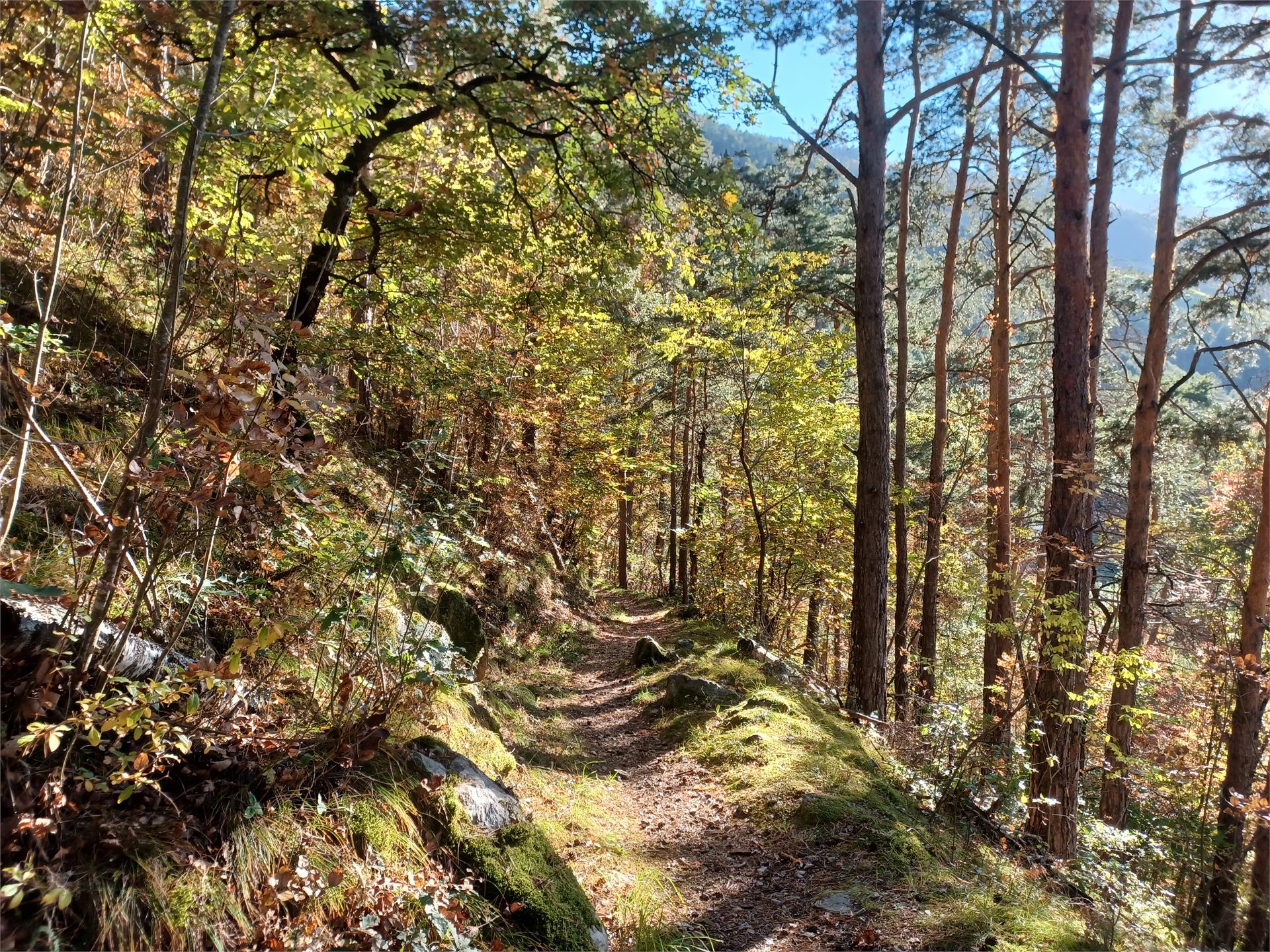 Von Rabland über den geheimen Rittersteig nach Naturns Partschins 9 suedtirol.info