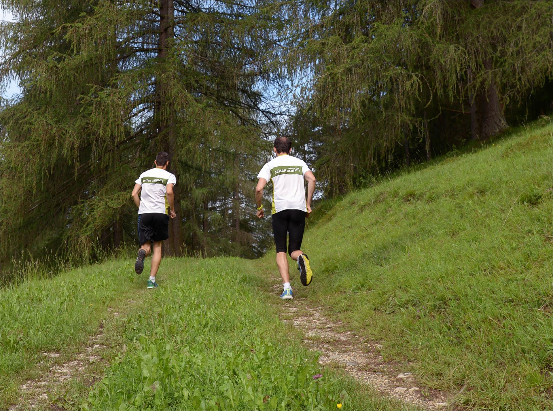 Tiers/Ums link Tiers am Rosengarten/Tires al Catinaccio 1 suedtirol.info