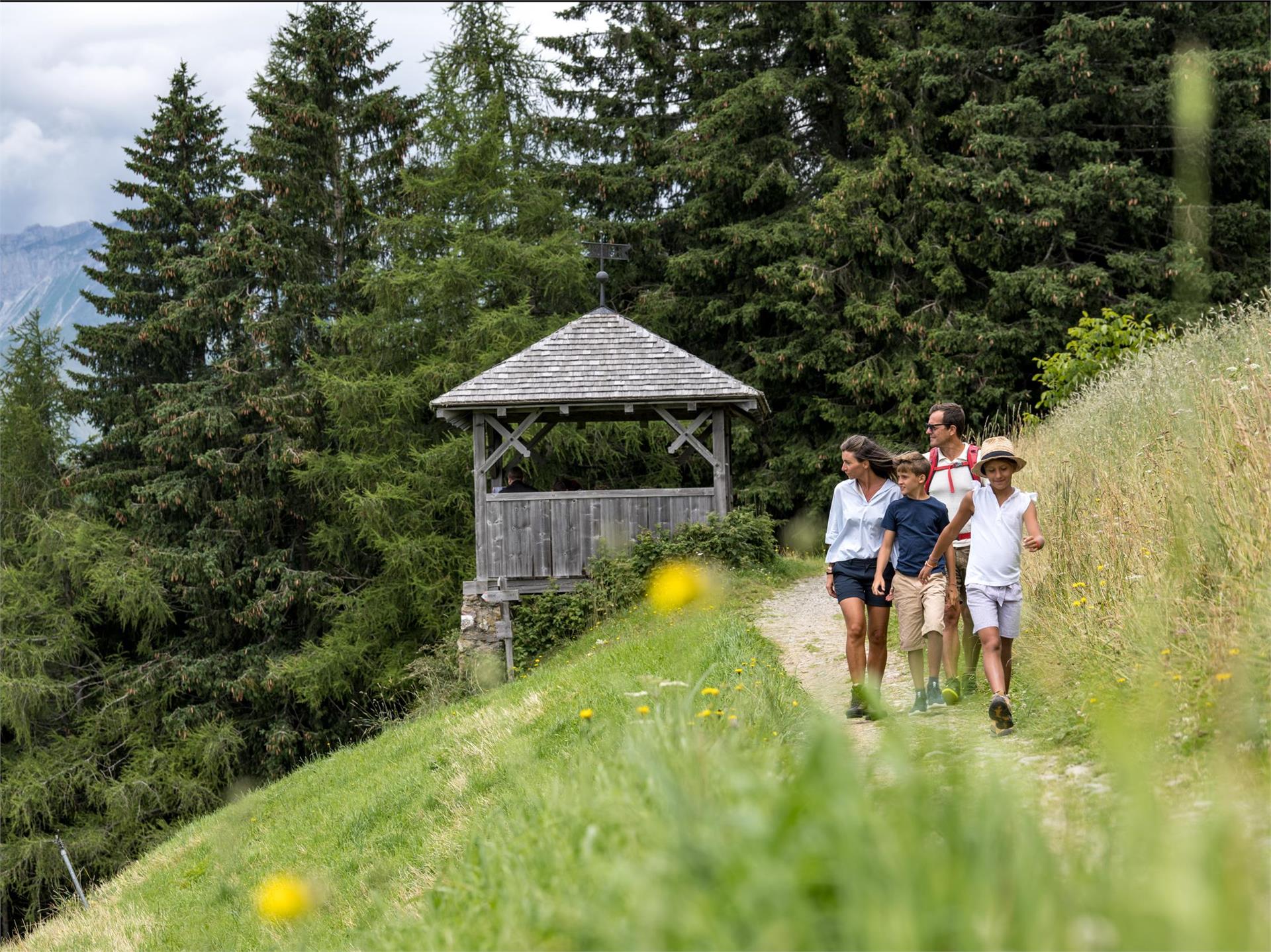 Von der Taser Alm zur Streitweideralm Schenna 1 suedtirol.info