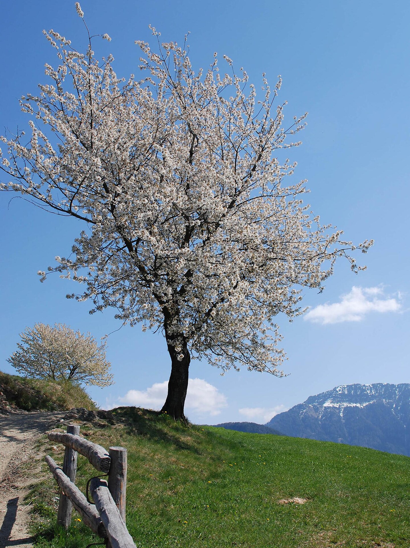 Poststeig trail