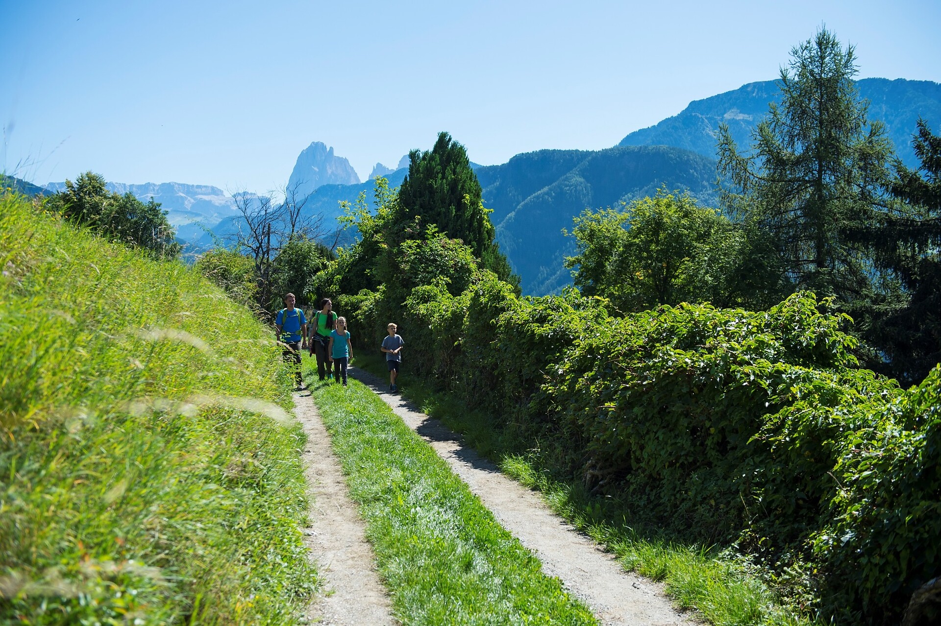 Tschöfas/Ceves