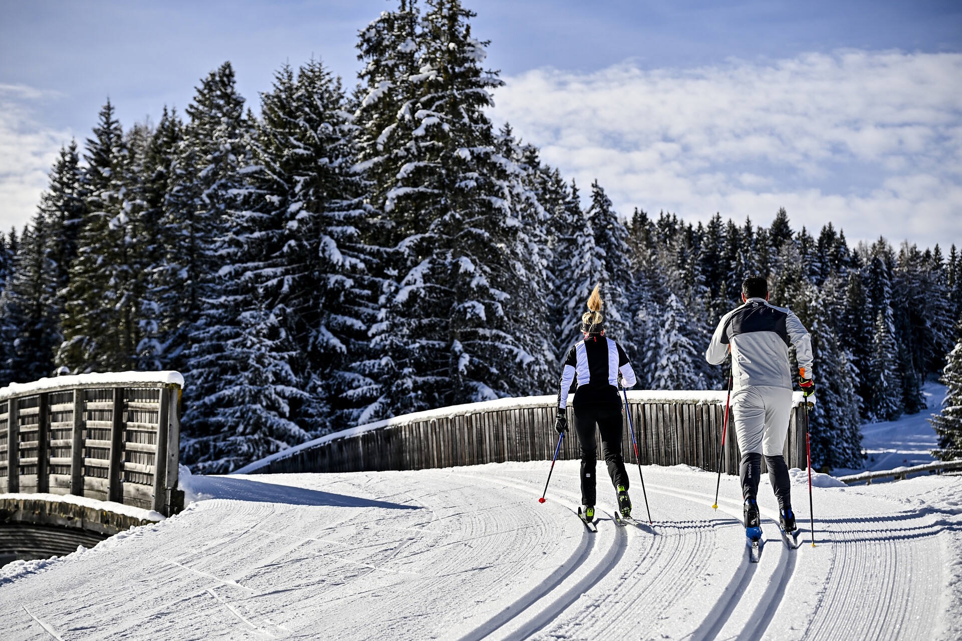 Vedl Verzon - Dolomites Region Val Gardena - #13 - suedtirol.info