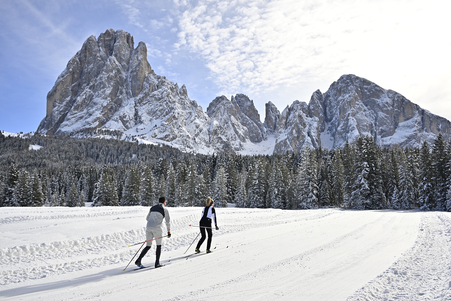 Vedl Verzon - Dolomites Region Val Gardena - #8 - suedtirol.info