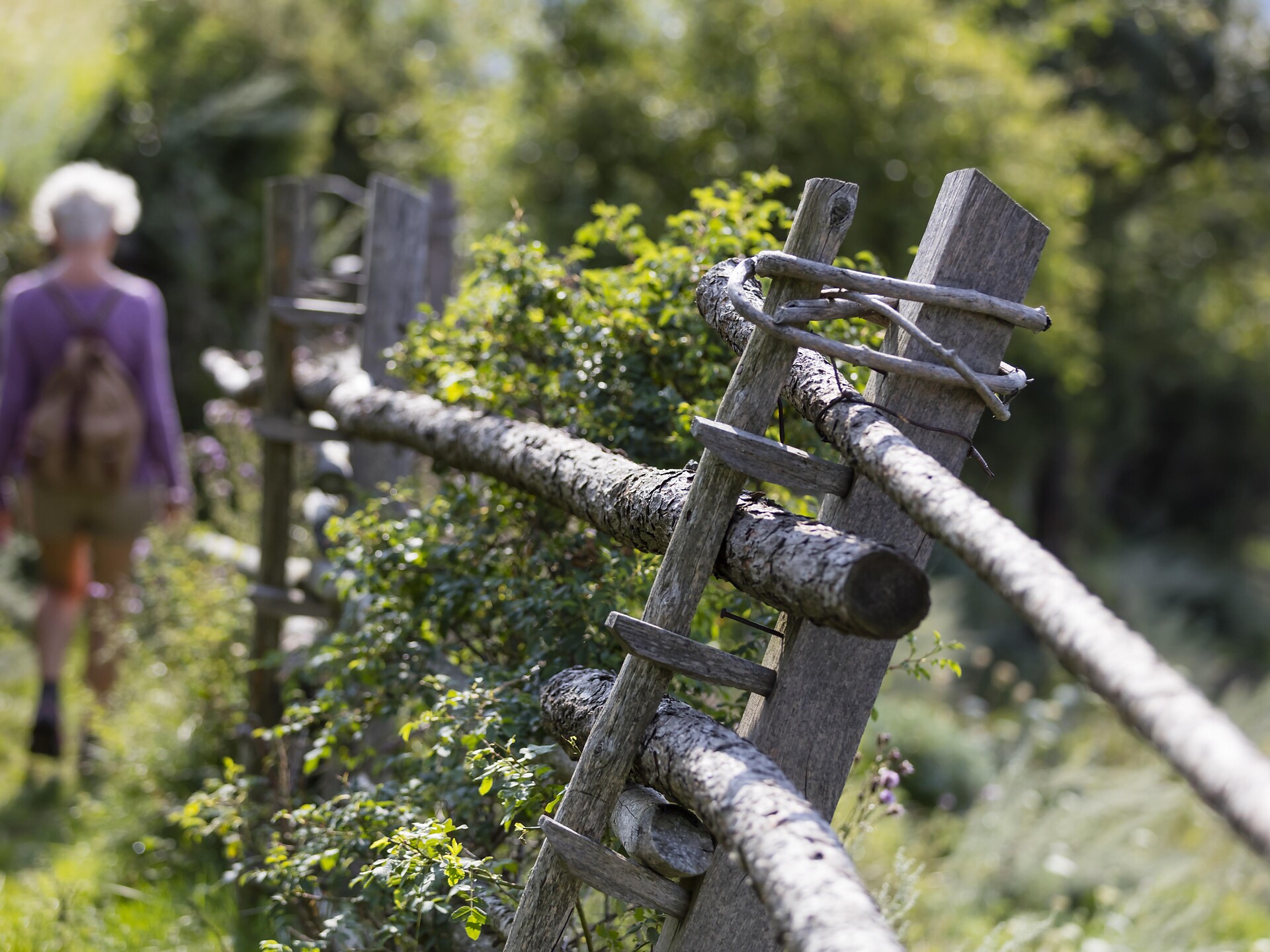 From Laces to San Martino in Monte