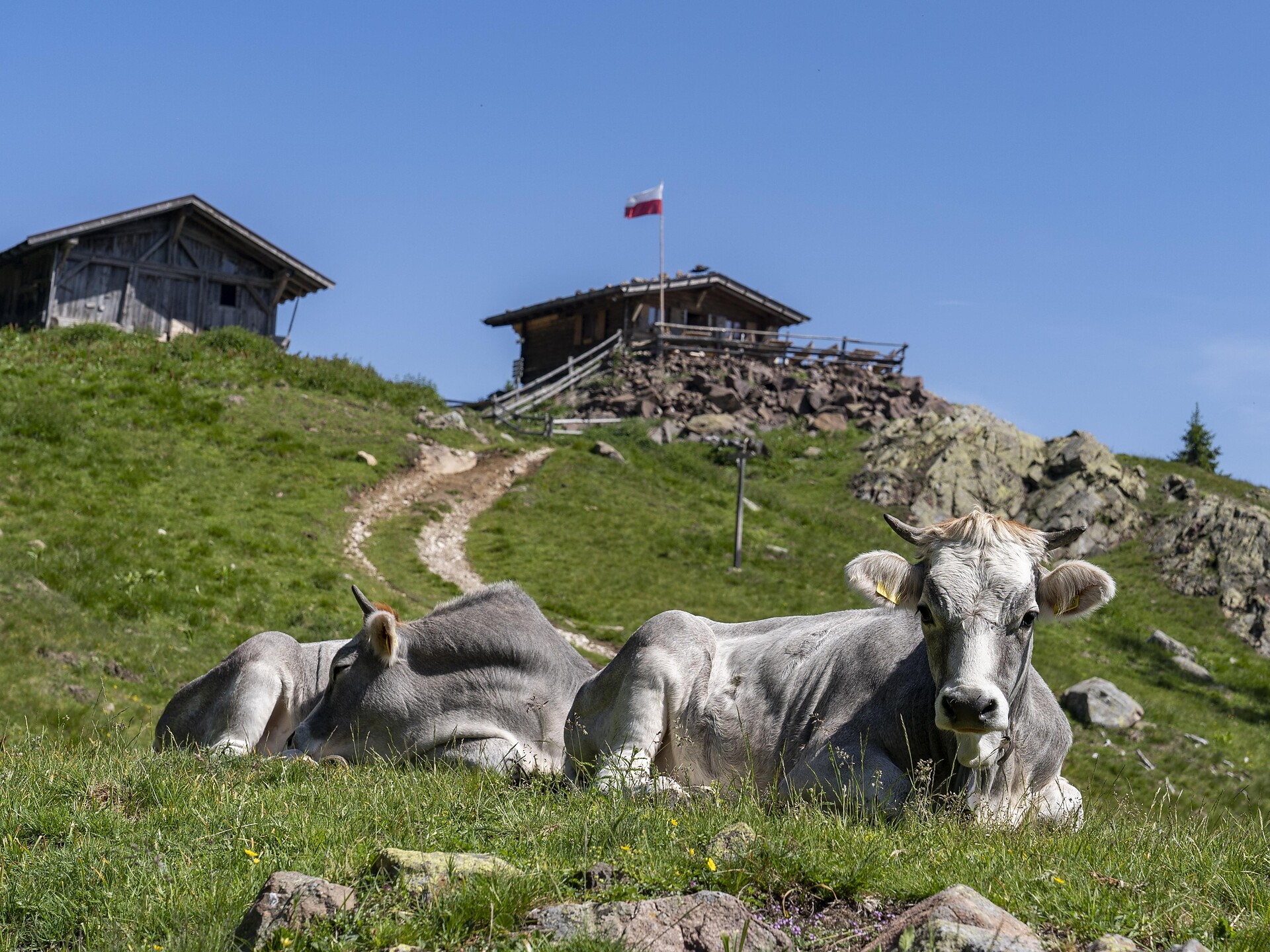 From the Perlkraling to the "Gfrillner Laugenalm" U.L.Frau i.W.-St. Felix/Senale-S.Felice 3 suedtirol.info