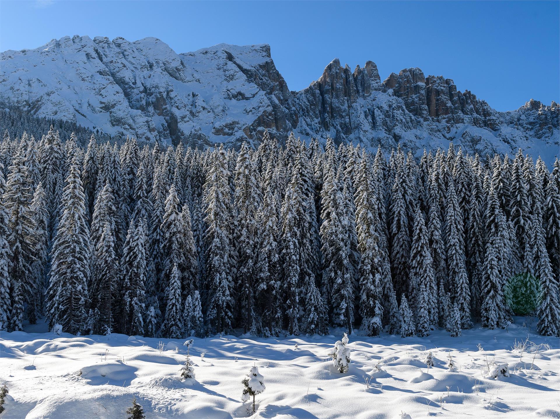 Escursione invernale dal parcheggio Paolina al Lago di Carezza Nova Levante 3 suedtirol.info