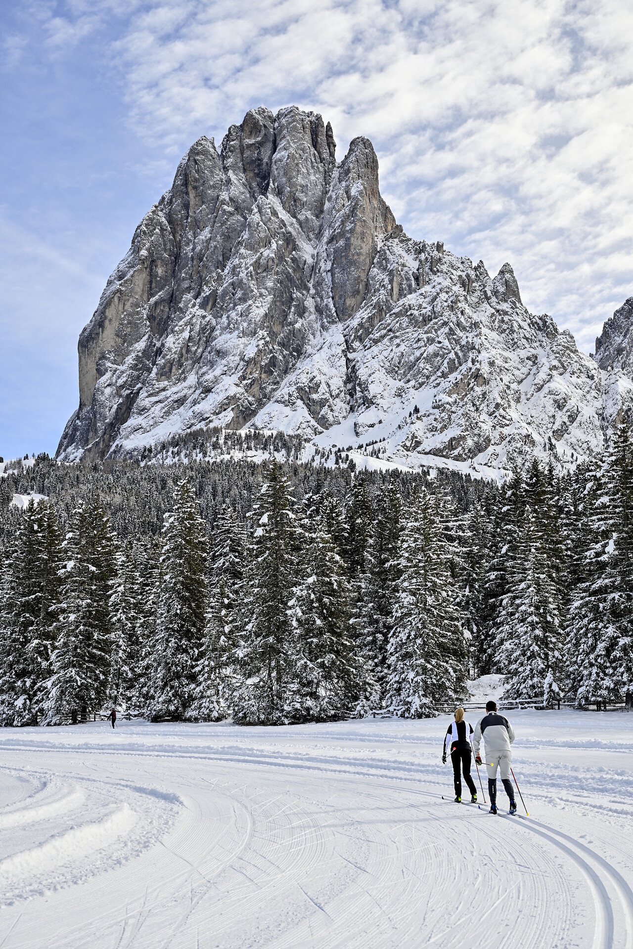 Val Scura - Regione dolomitica Val Gardena - #13 - suedtirol.info