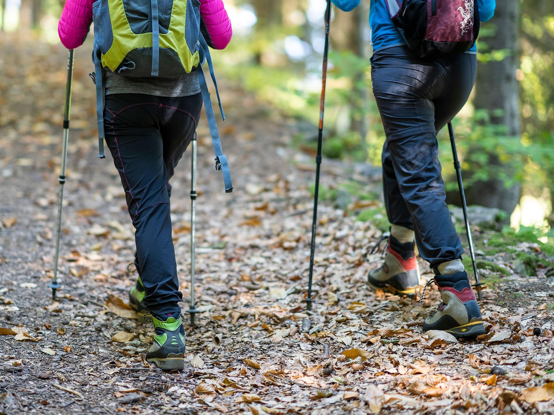 Hiking