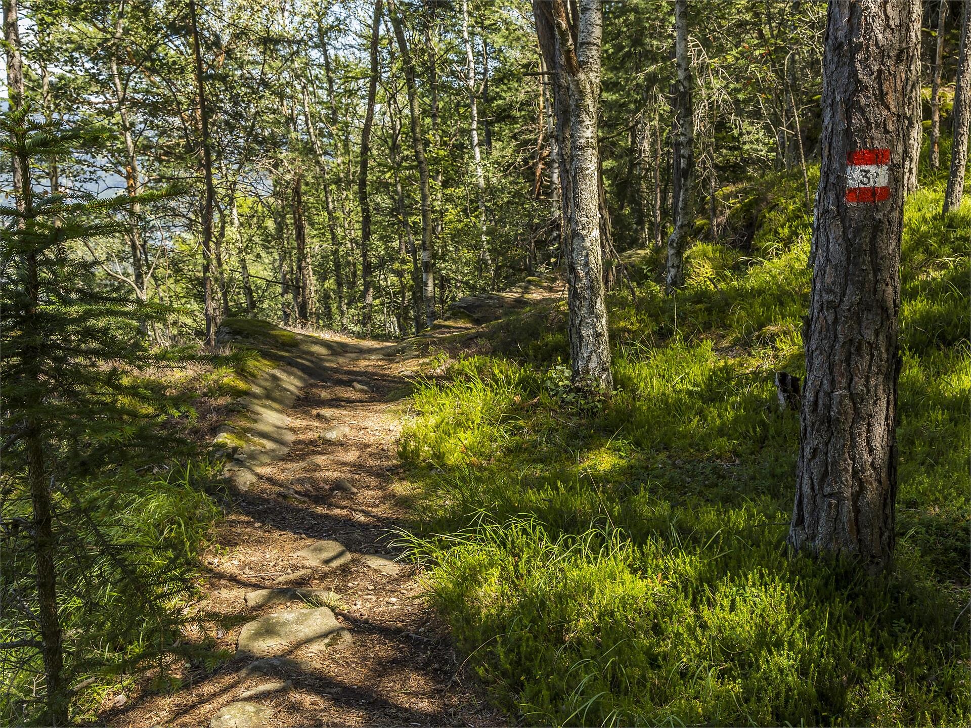 Path