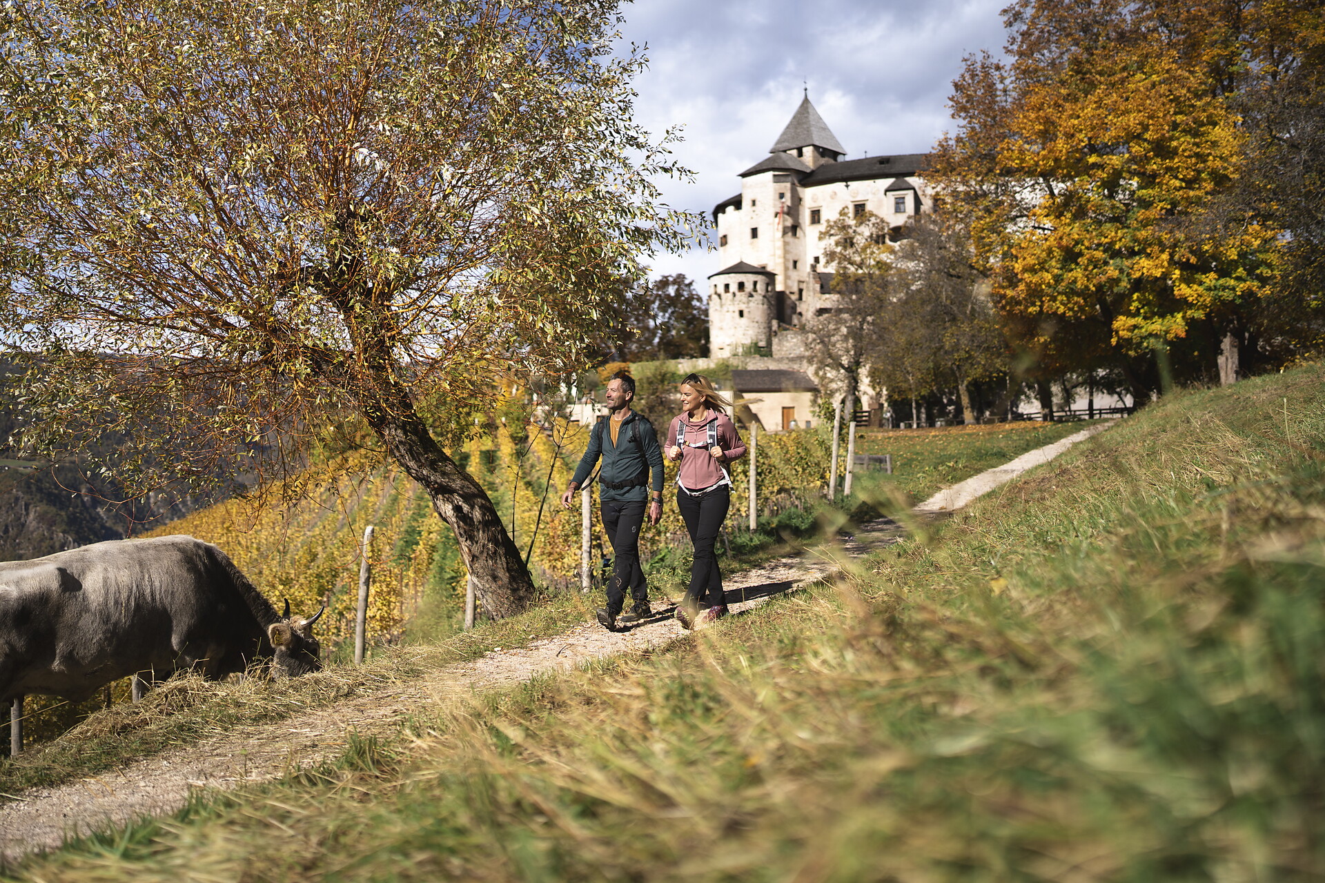 Da Fiè al Castel Prösels - Regione dolomitica Alpe di Siusi - #5 - suedtirol.info