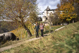Von Völs zum Schloss Prösels - Völs am Schlern - #5 - suedtirol.info