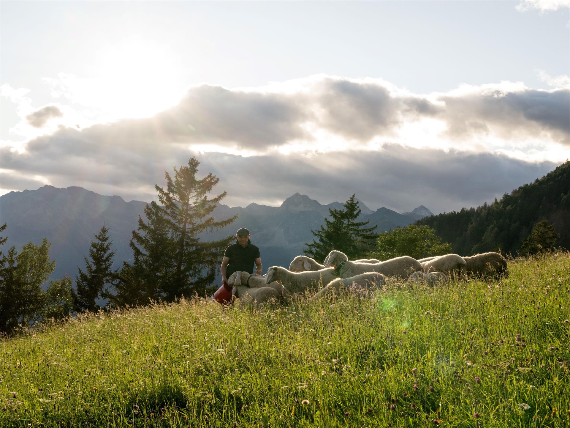 Falzeben to Scena via Gsteier Schenna/Scena 4 suedtirol.info