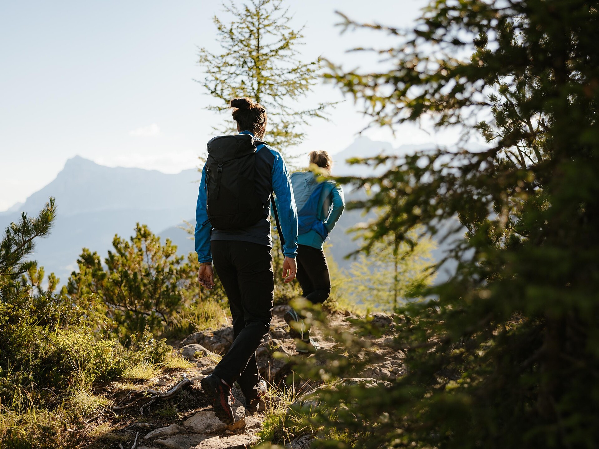 Hike in the woods