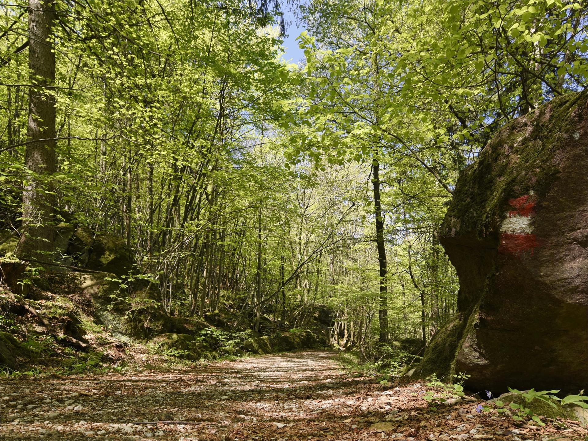 From Nalles to Andriano Nals/Nalles 2 suedtirol.info